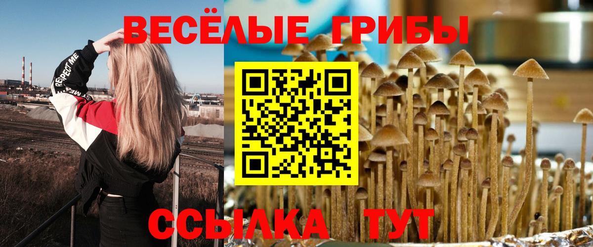 Псилоцибиновые грибы Magic Shrooms Чебоксары