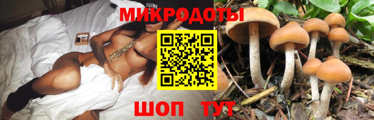 Псилоцибиновые грибы MAGIC MUSHROOMS  Галлюциногенные грибы Cubensis  Чебоксары  Вход с VPN 